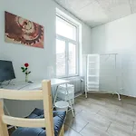 Ubytování v soukromí Yellow - Simple -- Olma Messen & Autobahn 1 Min, Hsg 6 Min, Spital 7min, Guenstige Parkplaetze St. Gallen