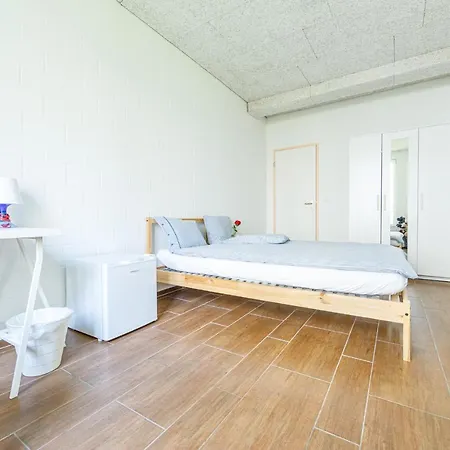 Yellow - Simple -- Olma Messen & Autobahn 1 Min, Hsg 6 Min, Spital 7min, Guenstige Parkplaetze Rum i privatbostad *