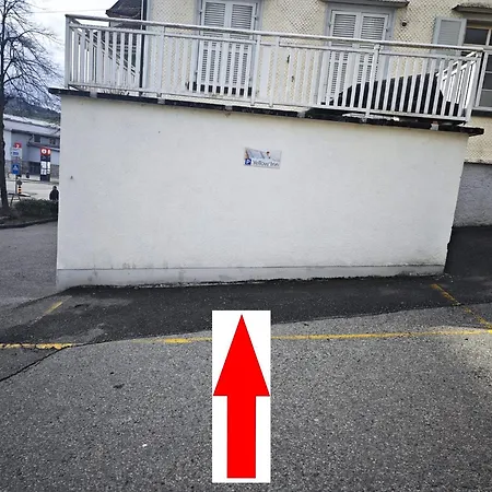 Yellow - Simple -- Olma Messen & Autobahn 1 Min, Hsg 6 Min, Spital 7min, Guenstige Parkplaetze منزل للإقامة *