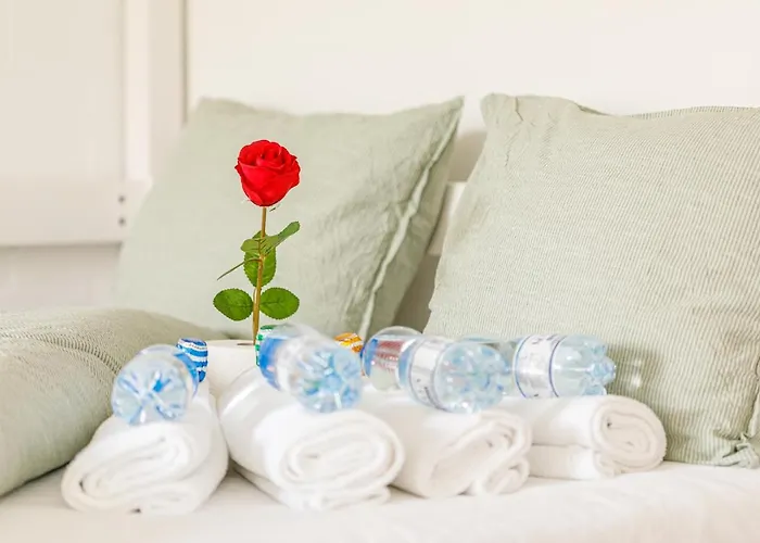 Yellow - Simple -- Olma Messen & Autobahn 1 Min, Hsg 6 Min, Spital 7min, Guenstige Parkplaetze Alloggio in famiglia St. Gallen