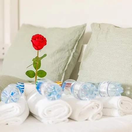 Yellow - Simple -- Olma Messen & Autobahn 1 Min, Hsg 6 Min, Spital 7min, Guenstige Parkplaetze 民宿 圣加仑